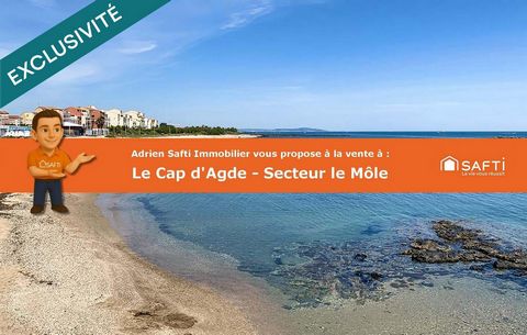 LE CAP D AGDE - Le Môle - Appartement - 20 m²