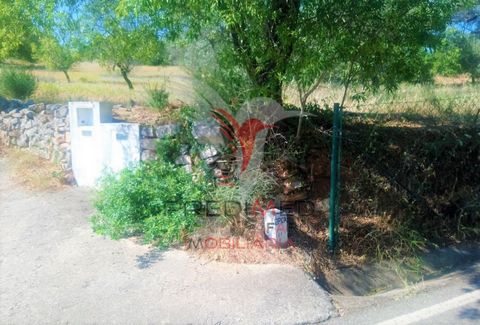 RUSTICO LAND located in the Malhão area - two lots of parallel rustic terrain with good access, sealing, with counter for water and light and with several dried fruit trees situated very close to the village with wonderful view saw tarmac road to the...