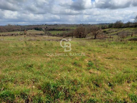 VASANELLO-VITERBO-LAZIO Vasanello. Agricultural land of about 37 hectares, of which 21 are arable land and the remaining 16 are woodland. The entire slightly hilly plot is located at an altitude of m. 250 asl, and just 2 kilometers away from the town...