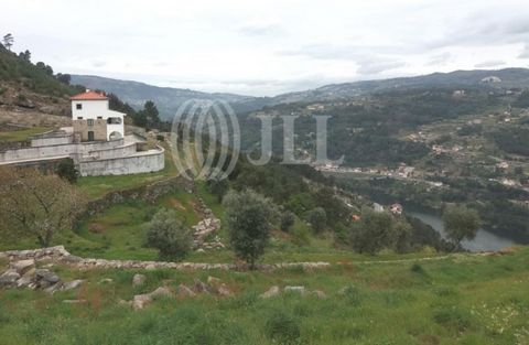 Estate with 8 ha of land, of which 208 sqm correspond to covered area, with river and mountain views, located in the River Douro valley, in Cinfães, district of Viseu. The estate is spread over terraces on which fruit trees are cultivated (cherry, or...