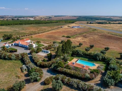 Typical Alentejo country, with a private airfield, Certified Aerodrome, makes this farm as a unique reference in its sector. With its own entrance, the track 550 meters, suitable for aircraft from ultralights to Cessna 172 or twin-engine Cessna push-...