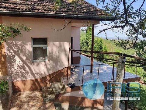 We offer for sale a lovely two-storey villa in the Chashka area, with a total area of 40sq.m and a yard of 1100 sq.m. Distribution: First floor - one room - tavern. Second floor - one bedroom, niche with refrigerator. External bathroom and toilet, su...