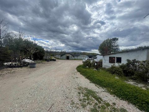 GUBBIO (PG): Floricultural farm of 2.3 hectares with over 2,000 sqm of greenhouses suitable for the cultivation of indoor and outdoor plants, fruit trees and nursery. The property, which is completely fenced off, includes a brick annexe of approx. 45...