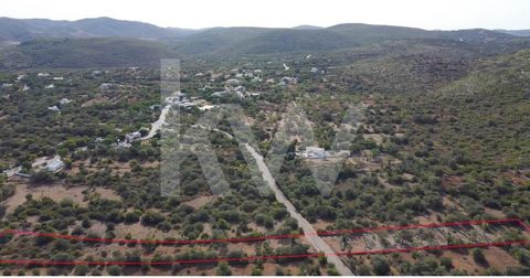 Rustic land with an area of 9700 m2, in Amendoeira, consisting of a plantation of 17 carob trees and 12 olive trees. This is your opportunity to own a piece of rural tranquility. With possibilities for growing a variety of agricultural products or fo...