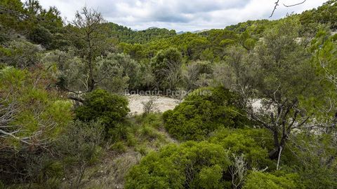 Building plot surround by nature in the village of Galilea, Puigpuñent This plot is located only 5 minutes walking distance of Galilea village and offers the advantages of being in the country with amazing views and peace, yet still having the conven...
