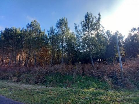 Price Drop To be discovered exclusively in Mouliherne, a commune in the Maine et Loire department located between Baugé and Beaufort in the valley. Wood with an area of 8234m² replanted with maritime pine about ten years ago. The plot is located in t...