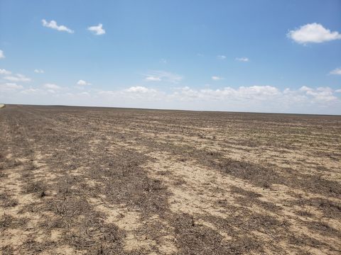 Wright's farm and Ranch Parcel 7 is a 320 +/- acre parcel of dryland farm ground. This parcel has a crop share lease for the 2023 crop season with the owner's share going to the Buyer. This parcel would be a great opportunity to add to your investmen...