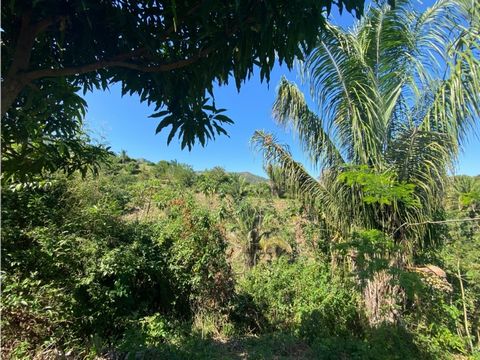 I sell lots a few meters from Minca in the foothills of the Sierra Nevada de Santa Marta, this project of 10 lots with areas from 2,000Mt2 organized with natural topography of the land and designed with direct access to each of them with feasibility ...