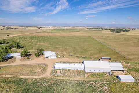 North Star Farms and Water Rights is a beautiful , 472+- acre farm just 3 miles northeast of Platteville, Colorado. This farm is highlighted by 70.54 Shares of Farmers Reservoir and Irrigation Company (FRICO BARR) and 311 acre feet of tradable Class ...