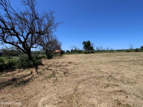 It is a plot of urban land with 15,100 m2 located in Bullfighting, Seia. The land is located in Lugar de Alcrieiras, confining with the M505 road, which connects Vila Verde, in Bullfighting, belonging to the same parish and in the municipality of Sei...