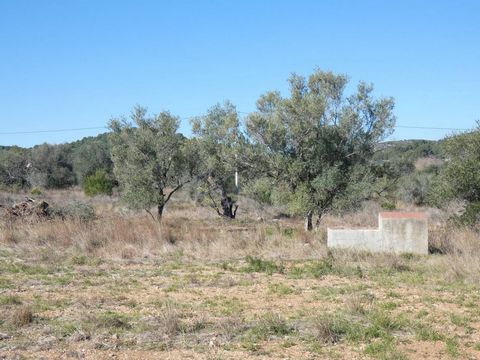 Total surface area 10885 m², rural property plot area 10885 m².