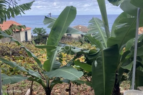 Property ID: ZMPT553585 Urban land with 759 m2. It has a warehouse with 30 m2 plus attic, with excellent sea view. It is about 100 meters from the road, the access is pedestrian by path. It has pre installation of light and water. Schedule your visit...