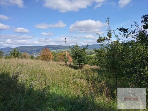 We recommend a large and scenic building plot located in Rychwałd with an exit from Holnówka Street. The plot is numbered 541/1 and has an area of 6805m2. According to the local development plan, the plot marked with the symbol MM18, i.e. the basic p...