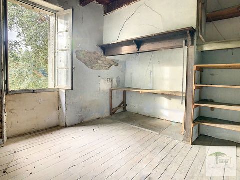 photo no. 12