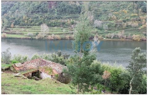 Ausgezeichnete Gelegenheit! 3 angrenzende Grundstücke zum Verkauf, mit 300 m Blick auf den Fluss Douro mit genehmigten Projekten zum Bau eines 5-Sterne-Landhotels mit 15 Schlafzimmern + Villa mit 4 Suiten + Villa mit 2 Suiten, alle mit herrlichem dir...