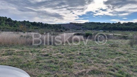 The island of Vis, a valuable agricultural land in the field of Vela Vošćica with an area of 5916 m2. It has a regular rectangular shape and a macadam road leads to it. There is a water connection at the edge of the plot. The land is suitable for gro...
