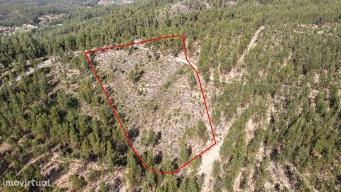 Rustic land with an area of 9200m2 Its accessibility has a tar road about 10 minutes from the city of Sertã, 10 minutes from Cernache do BonJardim. Excellent sun exposure. By choosing to live in the center of Portugal you will find the pleasure of na...