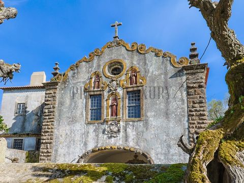 La Quinta Convento de Santo António da Castanheira, en Vila Franca de Xira, es un edificio de arquitectura religiosa con un exterior sencillo de modelo regional vernáculo con elementos manuelinos, renacentistas y manieristas de gran erudición en su i...