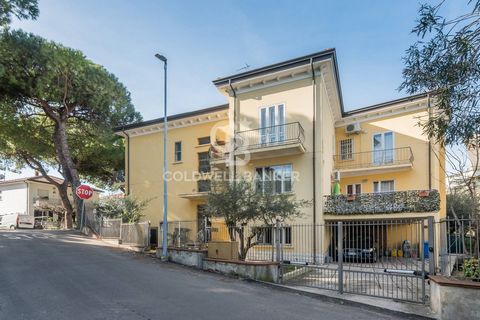RICCIONE COUNTRY We present for sale in the heart of Riccione, a house developed on three levels, consisting of three apartments and a shop. Ground floor apartment of about 150 square meters, consisting of a living room with fireplace, kitchen, 2 dou...