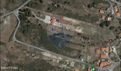 Land for sale in Fontelo, Armamar in the middle of the Alto Douro Wine Region , with a sun exposure of excellence.   Fontelo is the first town in the municipality of Armamar that passes from the south by the A24. This plot of land is located near the...
