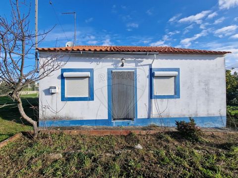 Single storey 2 bedroom villa for sale in Vale do Grou / Vila de Rei. This 57m2 villa is set on a plot of land with a total of 3320 m2 of which 120m2 are urban. The remaining 3200m2 are rustic with eucalyptus. You can count on 2 bedrooms, living room...