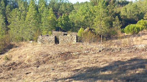 Kleine boerderij met 1600m2 gelegen in de stad Amarelos-Sarnadas de Rodão Deze boerderij heeft een ruïne van 70m2 geregistreerd in het boek, het heeft pijnbomen, eucalyptus en enkele fruitbomen Het ligt op 400 meter van het dorp en is gemakkelijk ber...