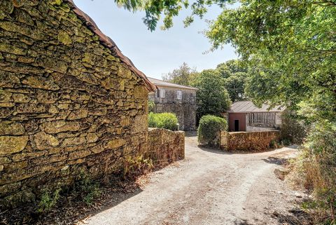 Traditional Galician house built in 1890, located in Lugar de Revelle nº7 in the parish of Santa Cristina, a charming village in the municipality of Carballedo. Located 13 minutes from A Barrela and 22 minutes from Chantada, a Spanish village in the ...