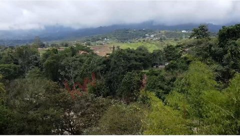 Property-10359 Beautiful lot located in the Brisas del Bosque country condominium, a few minutes from Fusagasugá. Area of 2,268 m2 It has an excellent location, with a privileged view. It does not delimit the main road or the common areas, which keep...