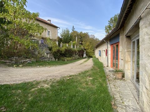 photo no. 4