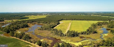 472 acre farm currently generating $100,000 annual income.Property consists of 224 tillable,205.8 wooded, 42.8 marsh acres. tillable is rented for 300 per acre annually, hunting is rented at 35,000 per year. Approximately 12 acres are in 3 planted wa...