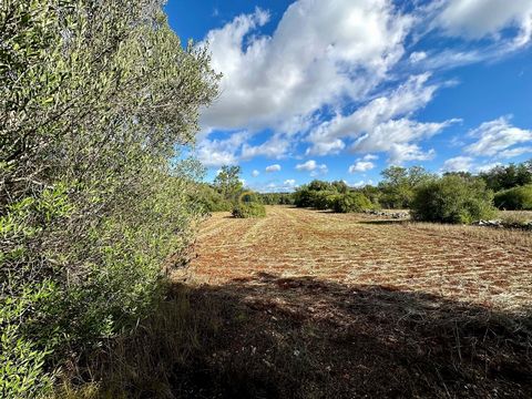 Rustic land for agriculture. Good access.