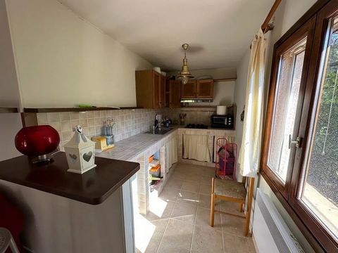 photo no. 11