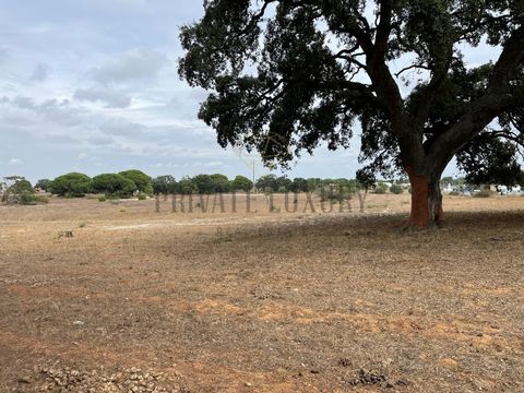 Rustic land with construction capacity in Palmela, a unique opportunity for investment. We present this rustic plot of land with 68,866 m², located in Palmela, a privileged location with great potential for residential development. With an approved a...