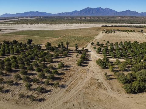 Crazy opportunity 412 hectares located in the subdelegacion of Santa Anita Loma Larga in San Jose del Cabo B.C.S. ahead of El Salto and before Santa Rita. It has a water well of 60 meters deep from which you can extract up to 109 thousand liters of w...