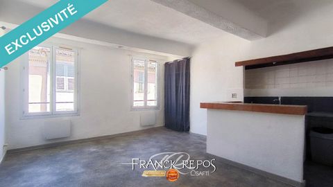 Cet appartement de type 1 dans le centre de Brignoles se compose d'une pièce principale regroupant le séjour, la cuisine et l'espace de vie. Avec ses 30 m² bien agencés, cet espace offre fonctionnalité et confort. On y trouve également une salle d'ea...