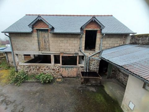 photo no. 10