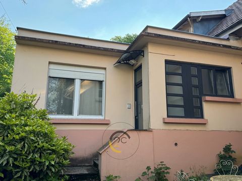 À VENDRE : 2 appartements dans une annexe de copropriété avec espaces privés ! Emplacement idéal à Longwy Bas, à quelques pas de la gare, des arrêts de bus et des commerces. Logement 1 : F1 (actuellement loué 500€/mois(36m2) 1 chambre séparée Séjour ...