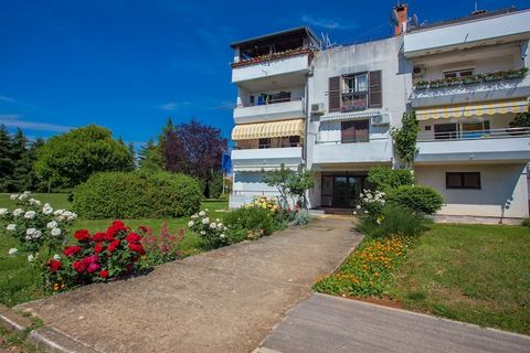 Cet appartement confortable et entièrement équipé de 80 m² à Porec offre un séjour relaxant pour jusqu'à 5 personnes. Situé directement sur la plage, l'appartement dispose de deux chambres, idéales pour les familles ou les petits groupes. La propriét...