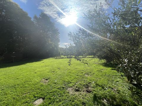 photo no. 15