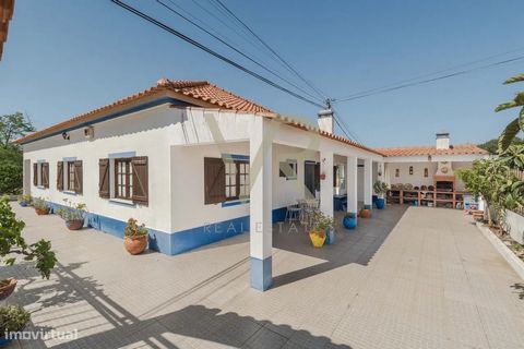 Cette villa traditionnelle de l’Alentejo est un véritable refuge au cœur de Melides. En entrant dans la propriété, vous serez accueillis par un grand salon lumineux qui vous invite à vous détendre près de la cheminée par temps froid. Les finitions en...