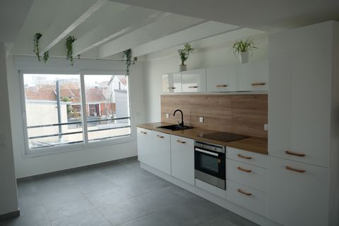 photo no. 11