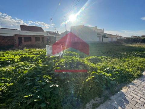 195 sq.M land in Ferrel - Peniche. Inserted in an urban area. With approved architectural project, for construction of a 5-bedroom house. In the center of Ferrel. Close to all commerce, services and restaurants. 1,600 meters from Baleal beach. Excell...