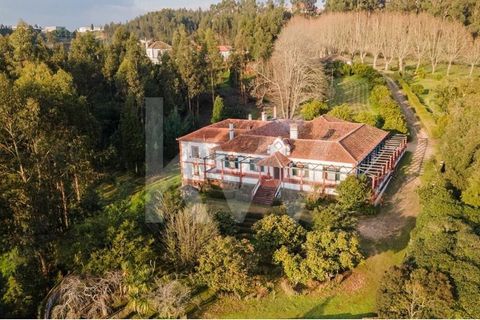 Historic Farm in Águeda, of extraordinary beauty and with a privileged view over the Águeda River. 13 hectare property at the entrance to Águeda, with several urban buildings and a rural area 1 hour from Oporto airport. The main house has a lot of ch...