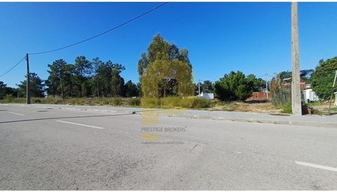 Stedelijk land, gelegen in de rustige regio Quinta do Anjo, biedt een uitstekende gelegenheid om het huis van uw dromen te bouwen. Met een totale oppervlakte van 600 m² is het perceel ideaal voor een ruime eengezinswoning, die een serene en gastvrije...