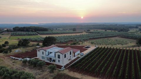 Villa neuve de 500 m² à Kastelir, Porec sur un grand terrain de 2500 m², avec piscine. C'est une villa fantastique avec un salon spacieux, une cuisine moderne, cinq chambres, cinq salles de bains, une magnifique terrasse. Il y a une possibilité d'obt...