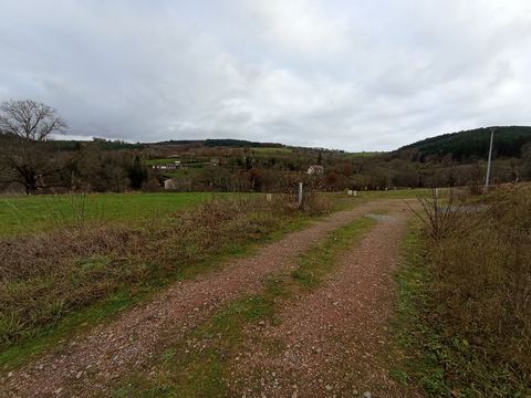 photo no. 11