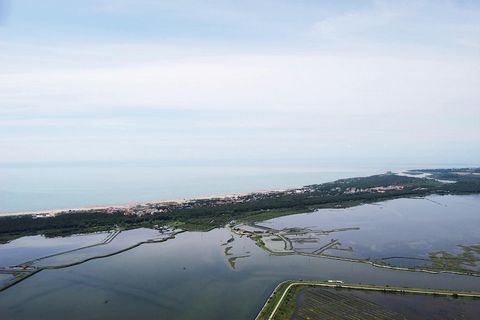 Este apartamento que admite mascotas en la costa adriática tiene 2 dormitorios para alojar cómodamente a 5 huéspedes, puede estar en la planta baja o en el primer piso (no garantizado). Perfecto para familias, dispone de TV. La playa a sólo 100 m y e...