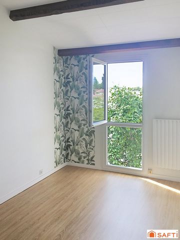 photo no. 12