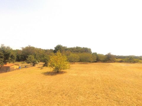 photo no. 3
