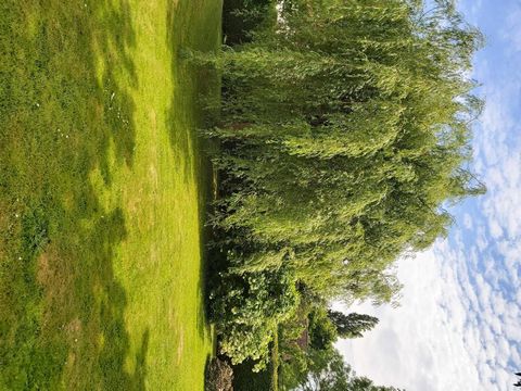 photo no. 13